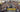 Tesla Builds 10 Millionth Tesla With Milestone Model Y