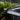 GT Style Real Carbon Fiber Spoiler Wing for Tesla Model 3 – Sporty Aerodynamic Rear Trunk Upgrade