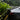 GT Style Real Carbon Fiber Spoiler Wing for Tesla Model 3 – Sporty Aerodynamic Rear Trunk Upgrade