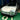Sporty Front Lip Spoiler For Tesla Model 3 Highland 2024+