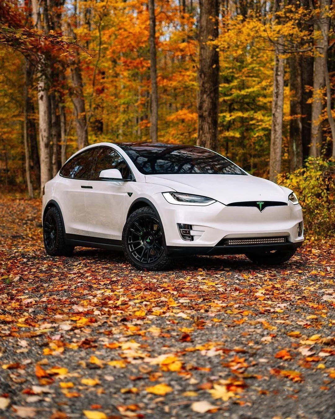 The Best 2023 5 Perfect Tesla Model Y Accessories and 6 want to have