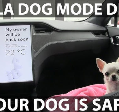 Tesla Dog Mode: How to Keep Your Pet Safe and Comfortable