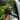 Carbon Fiber Mirror Caps for Tesla Model Y 2020–2026+ (Including Juniper) – Sporty Exterior Upgrade